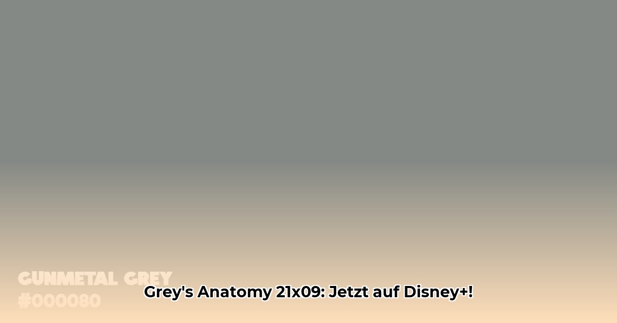 grey-s-anatomy-staffel-21-folge-9